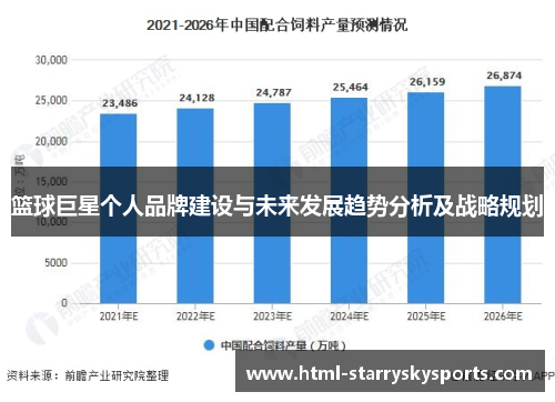 篮球巨星个人品牌建设与未来发展趋势分析及战略规划