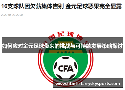 如何应对金元足球带来的挑战与可持续发展策略探讨