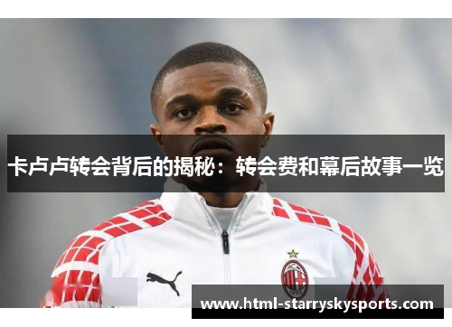 卡卢卢转会背后的揭秘：转会费和幕后故事一览