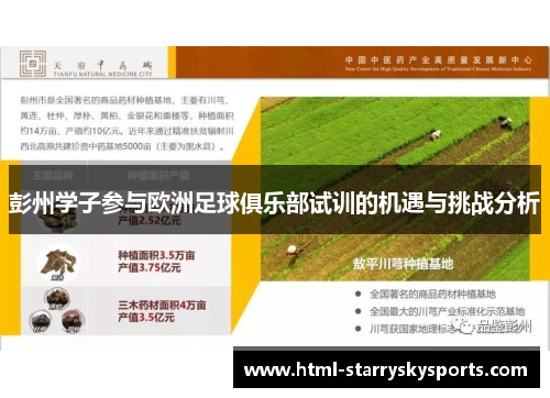 彭州学子参与欧洲足球俱乐部试训的机遇与挑战分析