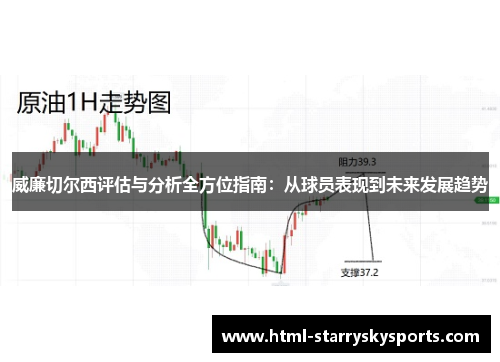 威廉切尔西评估与分析全方位指南：从球员表现到未来发展趋势